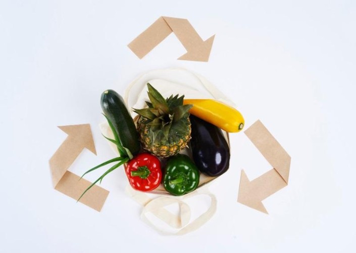 Diving Into the Circular Economy and Food Waste ♻️