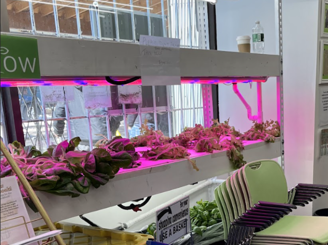 Indoor Farming: A Solution for One or For All?