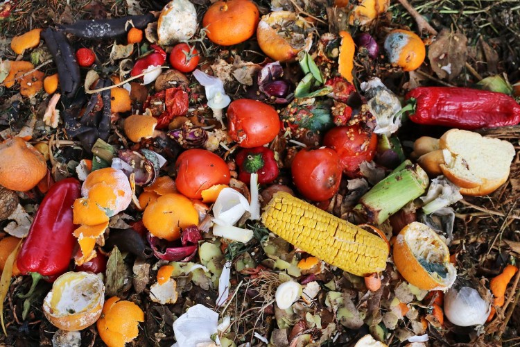 The Food Waste Problem in Canada